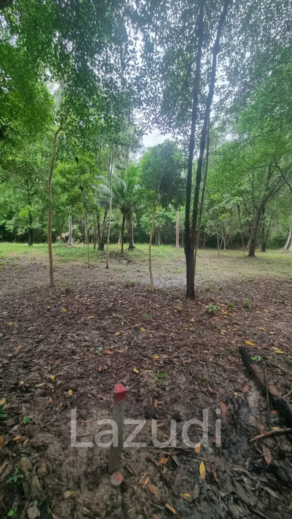 Exceptional Flat Land for Development in Koh Phangan – Ideal Investment Opportunity