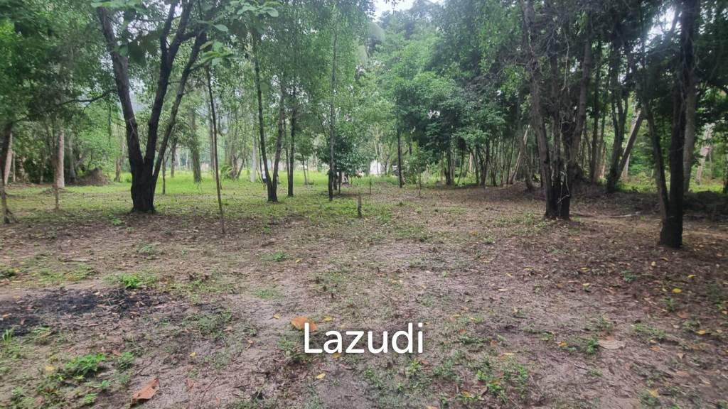 Exceptional Flat Land for Development in Koh Phangan – Ideal Investment Opportunity