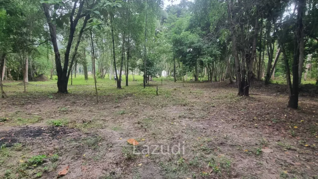 Exceptional Flat Land for Development in Koh Phangan – Ideal Investment Opportunity
