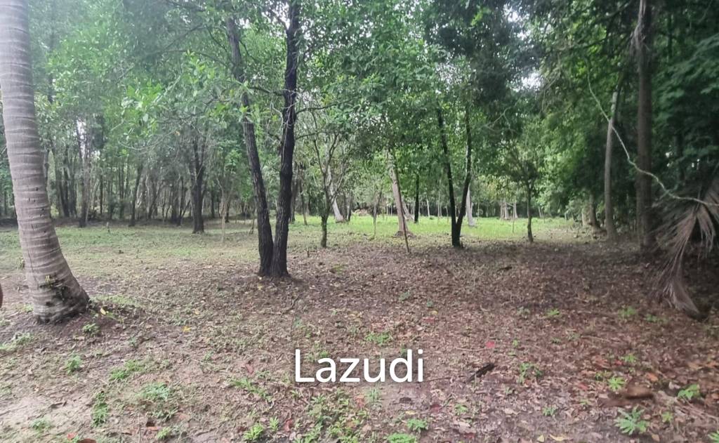 Exceptional Flat Land for Development in Koh Phangan – Ideal Investment Opportunity