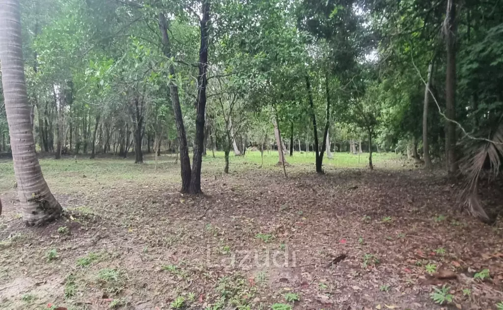 Exceptional Flat Land for Development in Koh Phangan – Ideal Investment Opportunity