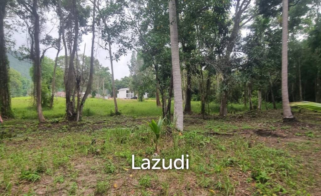 Exceptional Flat Land for Development in Koh Phangan – Ideal Investment Opportunity