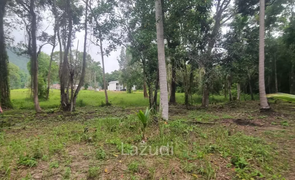 Exceptional Flat Land for Development in Koh Phangan – Ideal Investment Opportunity