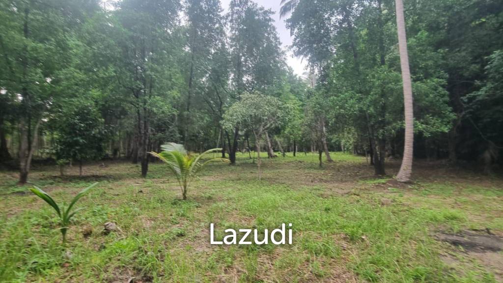Exceptional Flat Land for Development in Koh Phangan – Ideal Investment Opportunity