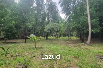Exceptional Flat Land for Development in Koh Phangan – Ideal Investment Opportunity
