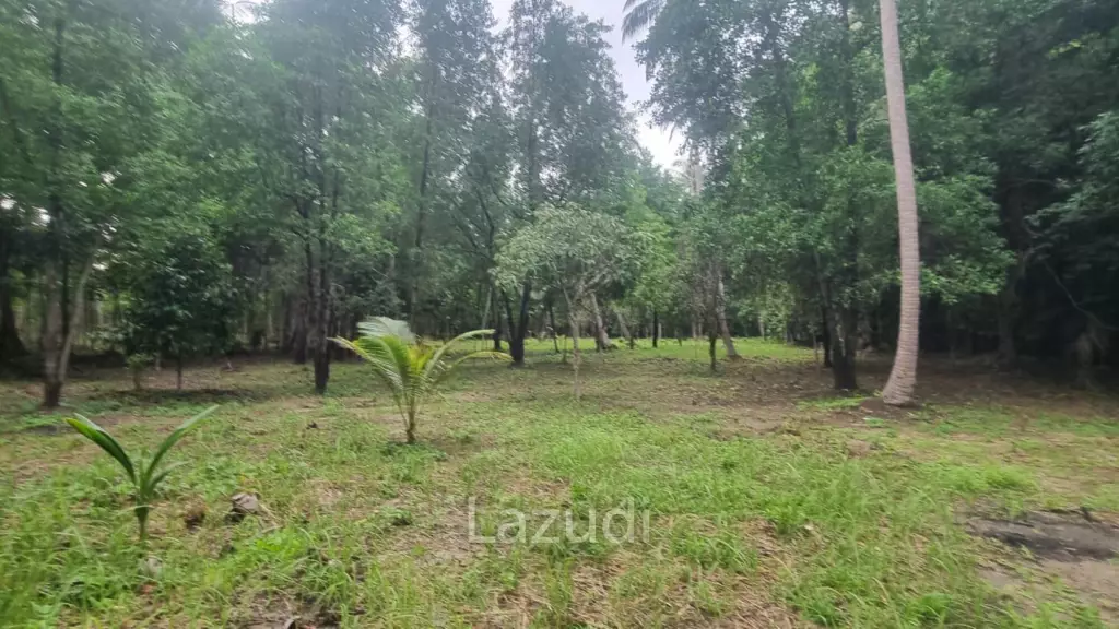 Exceptional Flat Land for Development in Koh Phangan – Ideal Investment Opportunity