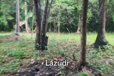 Exceptional Flat Land for Development in Koh Phangan – Ideal Investment Opportunity