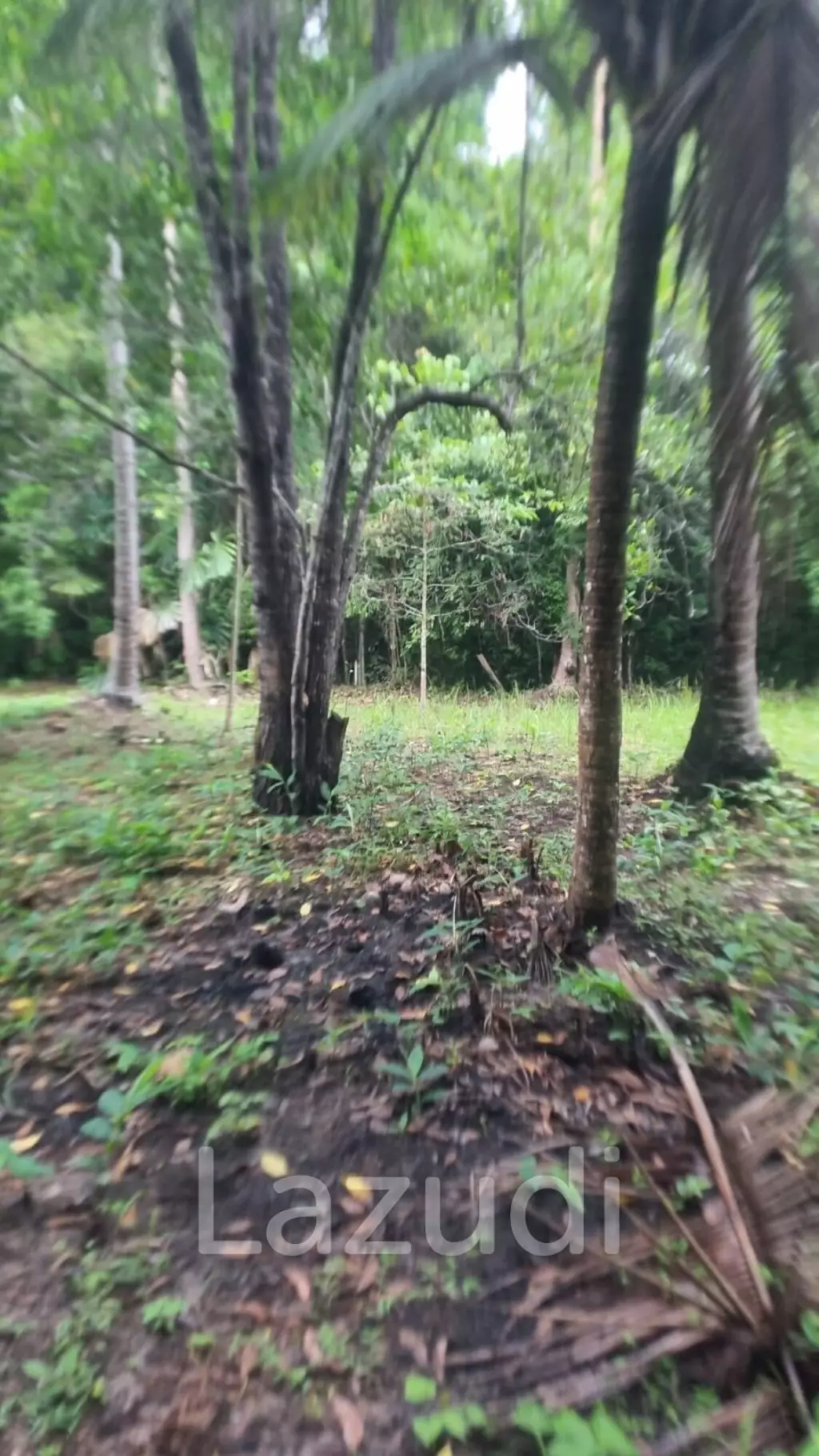 Exceptional Flat Land for Development in Koh Phangan – Ideal Investment Opportunity