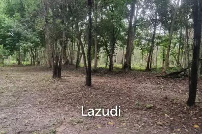 Exceptional Flat Land for Development in Koh Phangan – Ideal Investment Opportunity