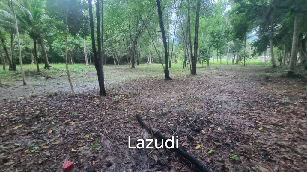 Exceptional Flat Land for Development in Koh Phangan – Ideal Investment Opportunity