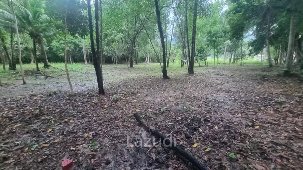 Exceptional Flat Land for Development in Koh Phangan – Ideal Investment Opportunity