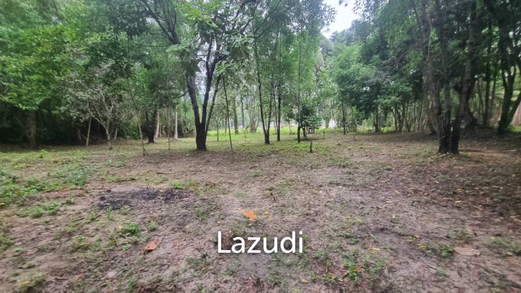 Exceptional Flat Land for Development in Koh Phangan – Ideal Investment Opportunity