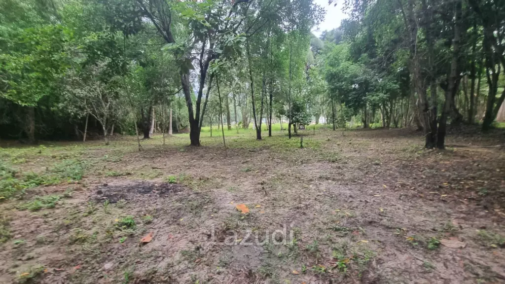 Exceptional Flat Land for Development in Koh Phangan – Ideal Investment Opportunity