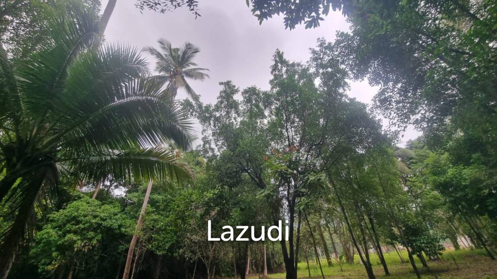 Exceptional Flat Land for Development in Koh Phangan – Ideal Investment Opportunity