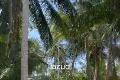 ฺBeachside Land For Sale In Ko Pha-ngan