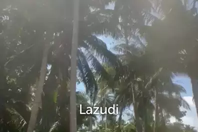 ฺBeachside Land For Sale In Ko Pha-ngan