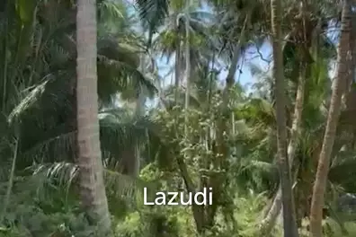 ฺBeachside Land For Sale In Ko Pha-ngan