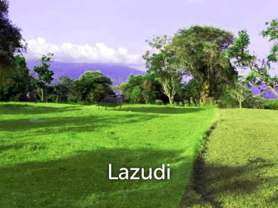 Unlock Bali’s Hidden Gem: Freehold 42.3 are Land in Bubug Karangasem