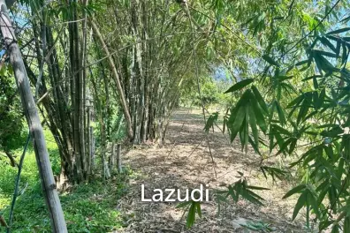 Scenic Fruit Plantation Land for Sale – Ideal for Villa Development