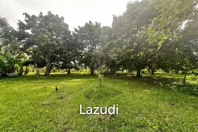 Scenic Fruit Plantation Land for Sale – Ideal for Villa Development