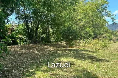 Scenic Fruit Plantation Land for Sale – Ideal for Villa Development