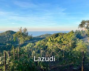 Prime Land with Ocean View in Ko Phangan