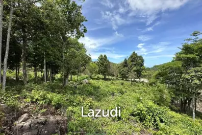 Prime Land with Ocean View in Ko Phangan
