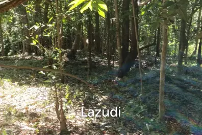 Beautiful Land for Sale in Ko Pha-ngan