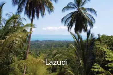 Affordable Freehold Land in Ko Pha-ngan with Ocean Views