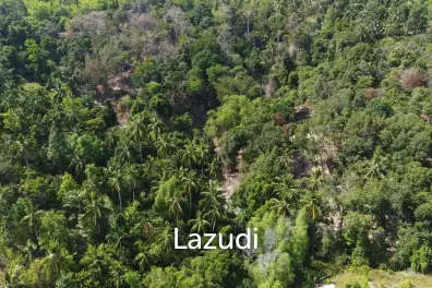 Affordable Freehold Land in Ko Pha-ngan with Ocean Views