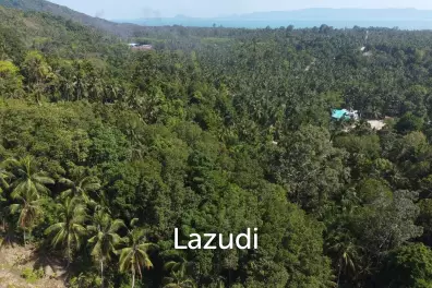 Affordable Freehold Land in Ko Pha-ngan with Ocean Views