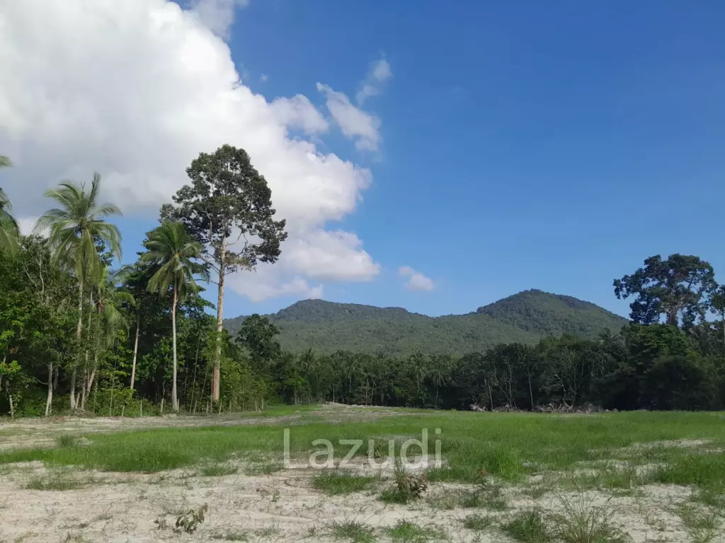 Land for Sale in Ko Pha-ngan