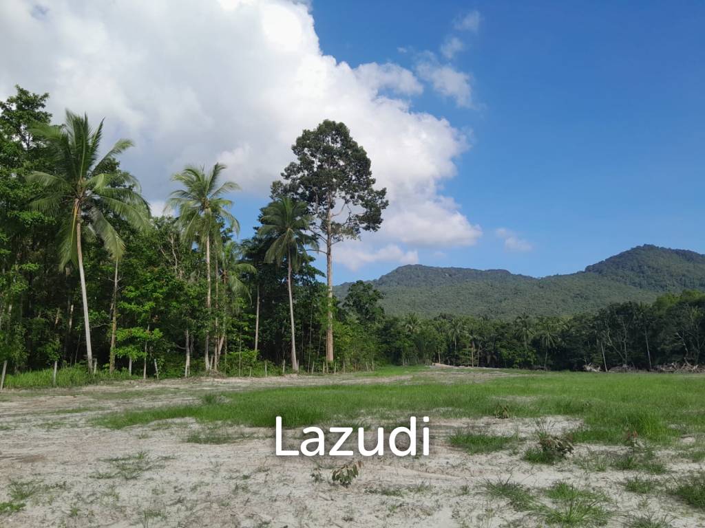 Land for Sale in Ko Pha-ngan