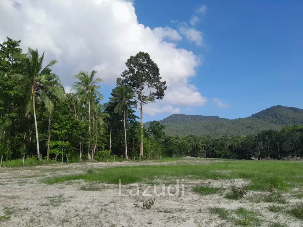 Land for Sale in Ko Pha-ngan