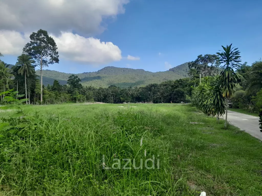Land for Sale in Ko Pha-ngan