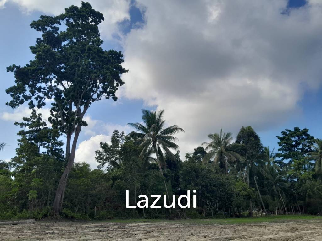 Land for Sale in Ko Pha-ngan