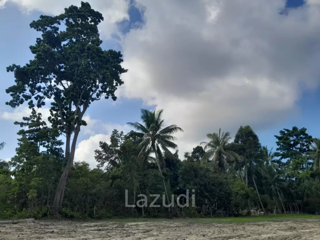 Land for Sale in Ko Pha-ngan
