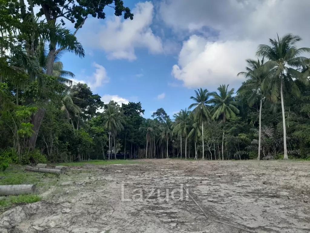 Land for Sale in Ko Pha-ngan