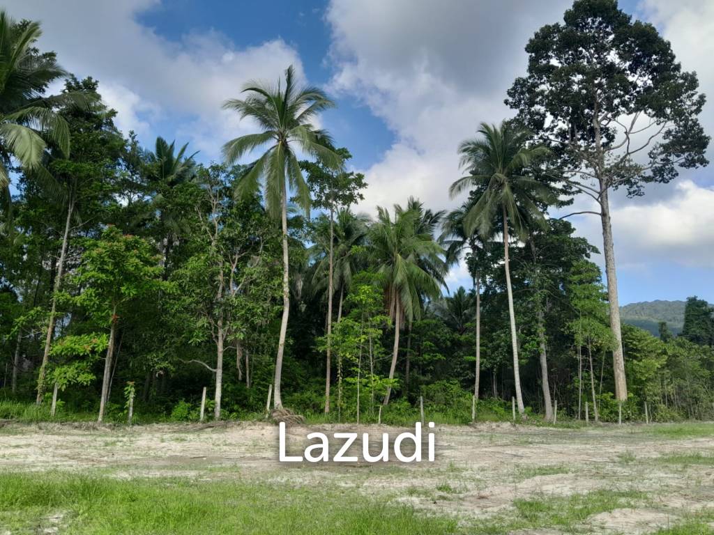 Land for Sale in Ko Pha-ngan