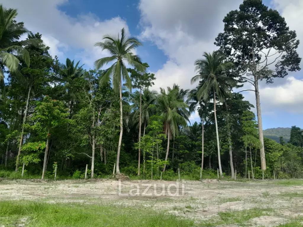 Land for Sale in Ko Pha-ngan