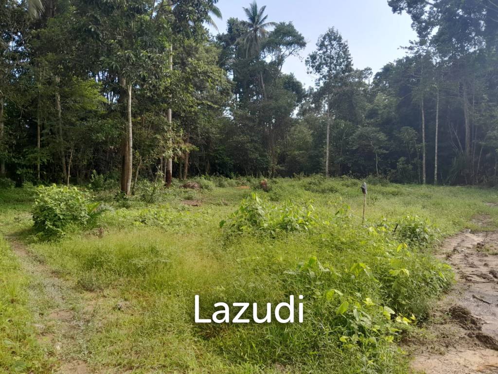 Land for Sale in Ko Pha-ngan
