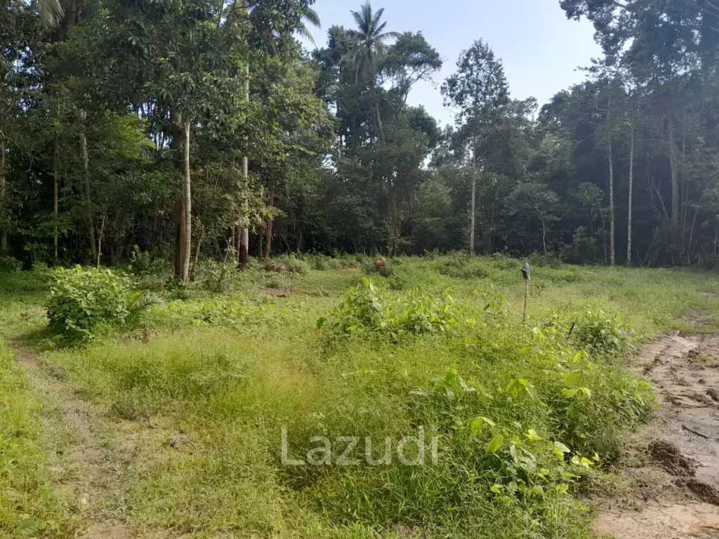 Land for Sale in Ko Pha-ngan