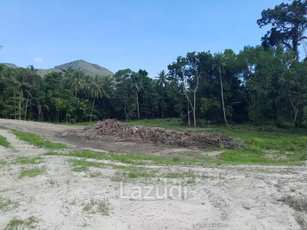 Land for Sale in Ko Pha-ngan