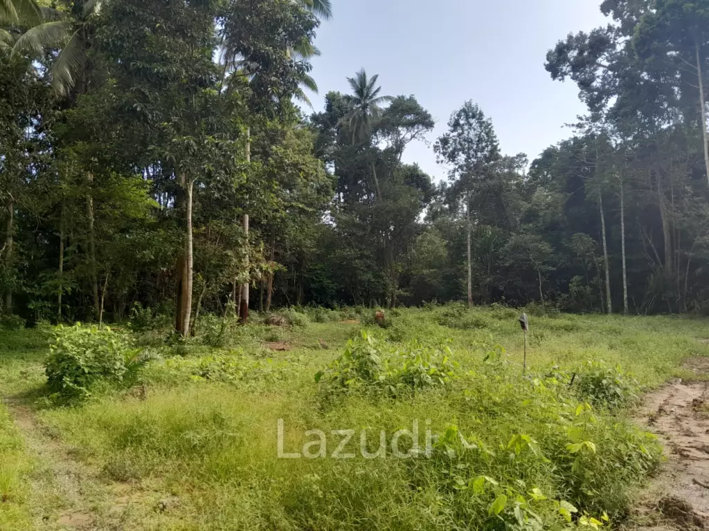 Land for Sale in Ko Pha-ngan