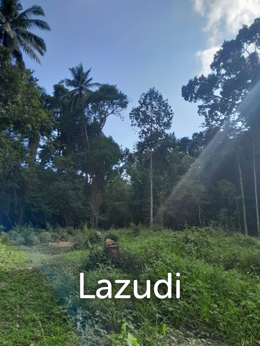 Land for Sale in Ko Pha-ngan