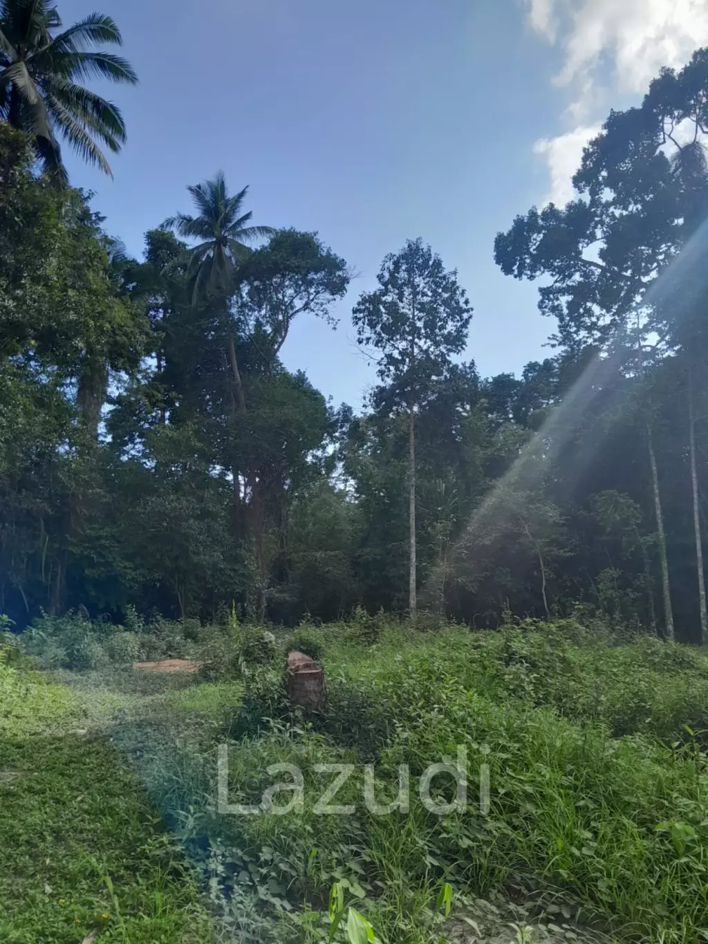 Land for Sale in Ko Pha-ngan