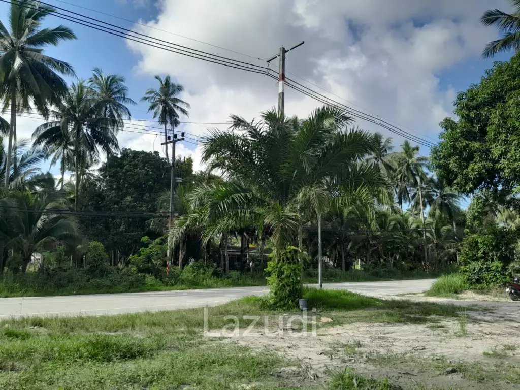 Land for Sale in Ko Pha-ngan