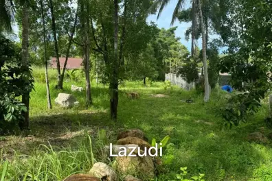 Idyllic Freehold Land in Lush Ko Pha-ngan