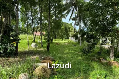 Idyllic Freehold Land in Lush Ko Pha-ngan