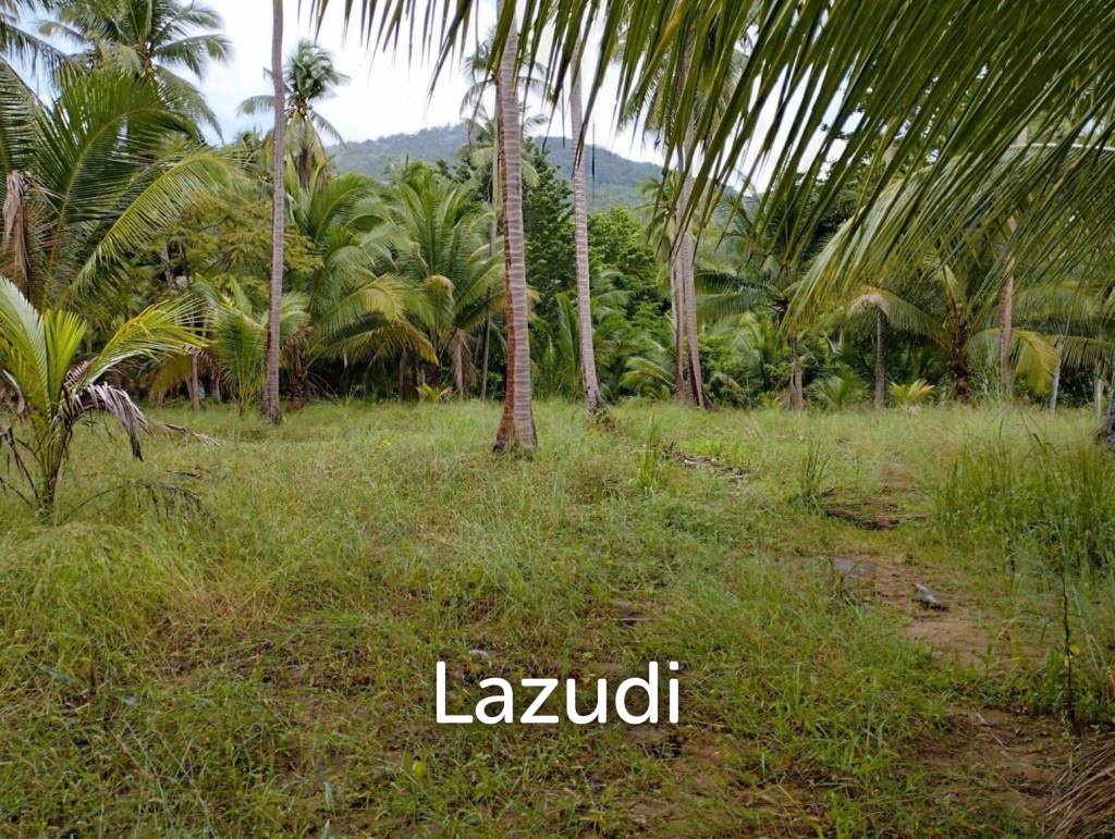 7-Rai Flat Land in Baan Nai Suan, Koh Phangan